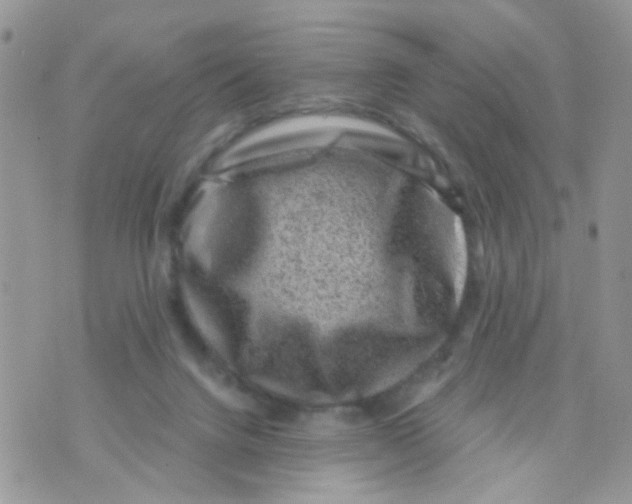 X0000071340072200607212042