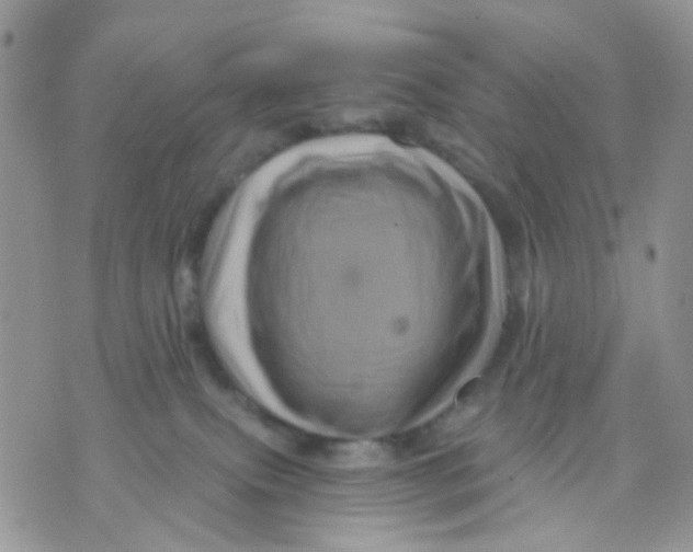 X0000071340087200607212043