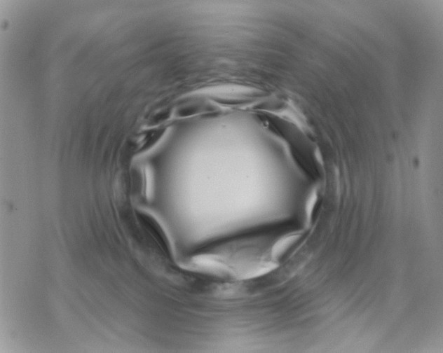 X0000071340088200607212043