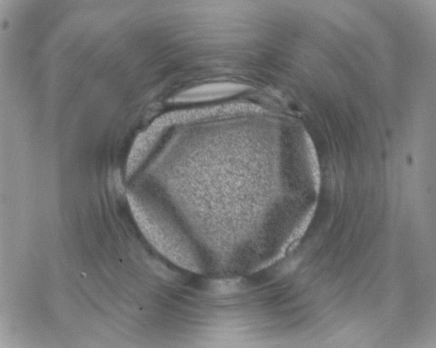 X0000071340089200607212043