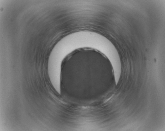 X0000071340092200607212043