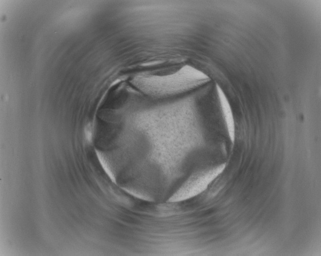 X0000071340095200607212043