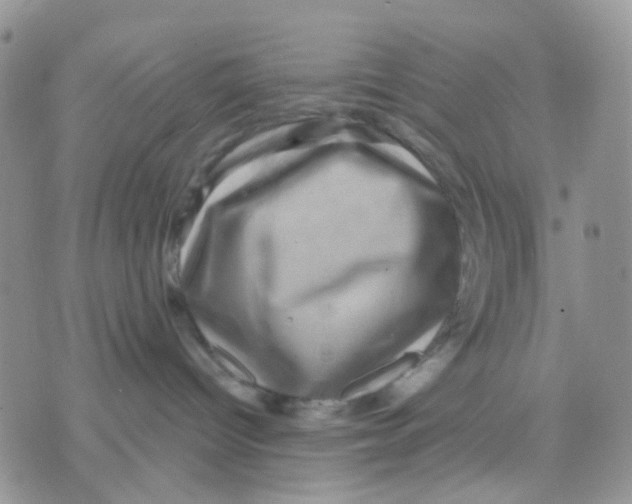 X0000071340096200607212043