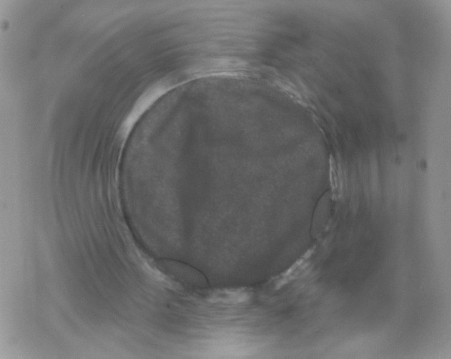 X0000071340099200607212042