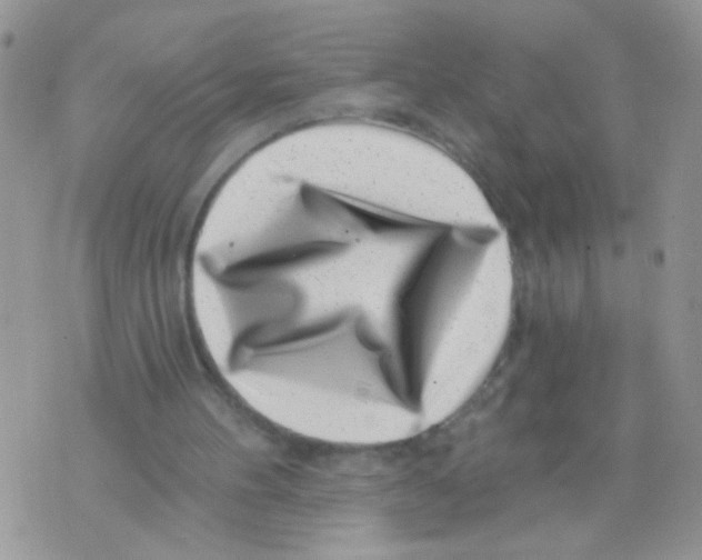 X0000071340100200607212042