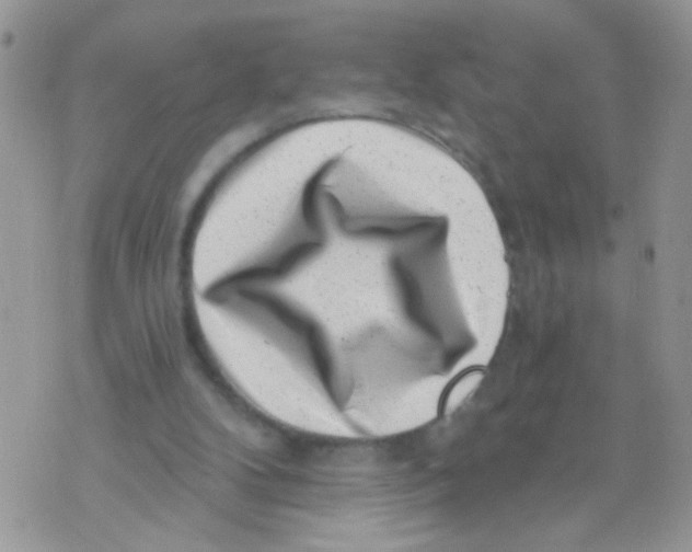 X0000071340104200607212042