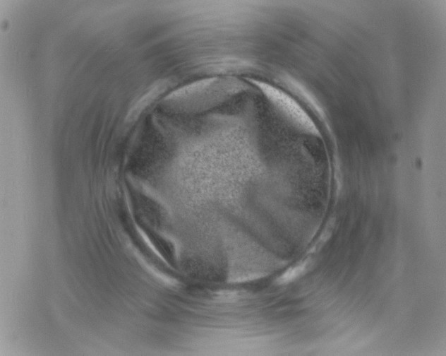 X0000071340105200607212042