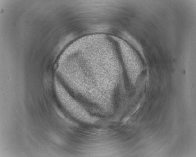 X0000071340107200607212042
