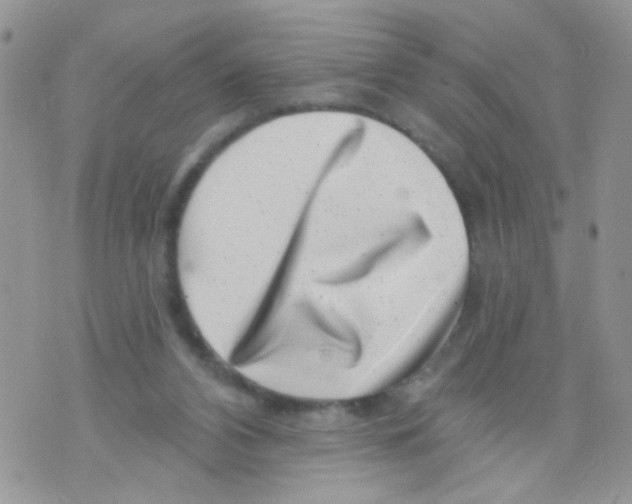 X0000071340112200607212042