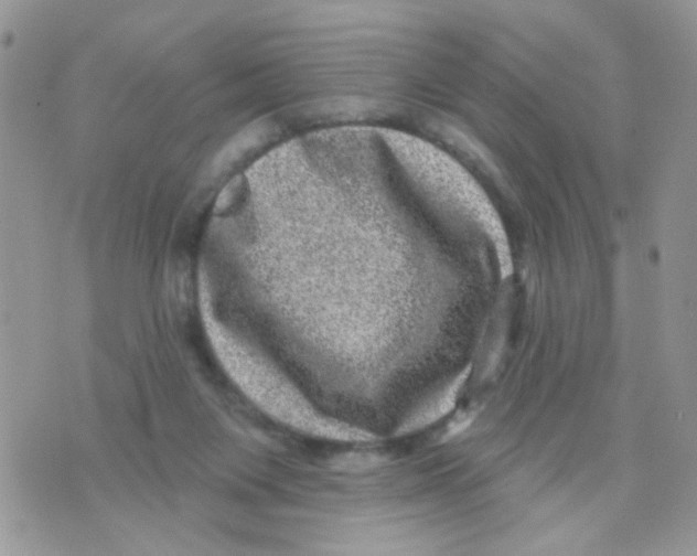 X0000071340119200607212042