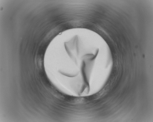 X0000071340124200607212042