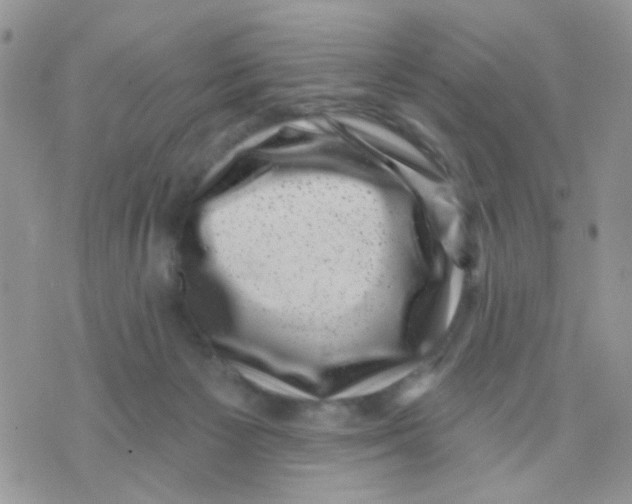X0000071340125200607212042