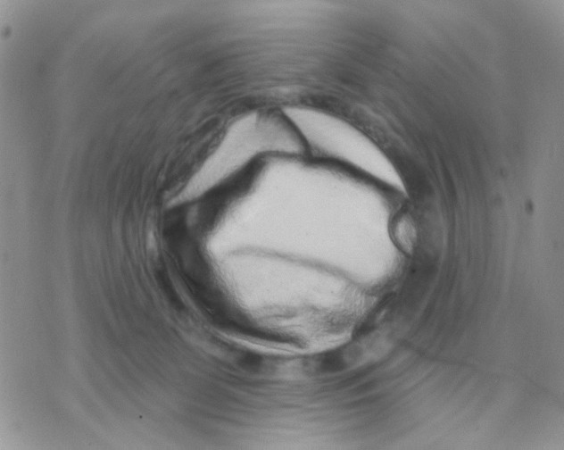 X0000071340131200607212042