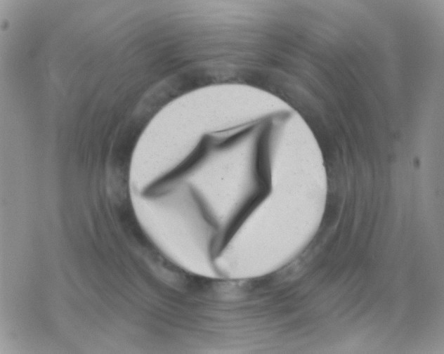 X0000071340136200607212041