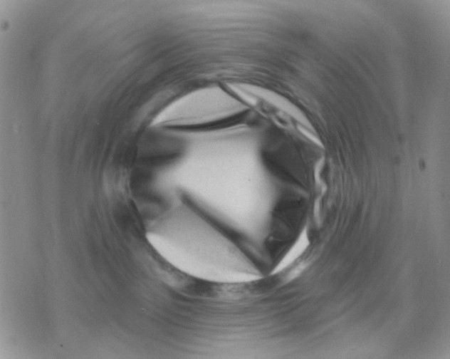 X0000071340141200607212041