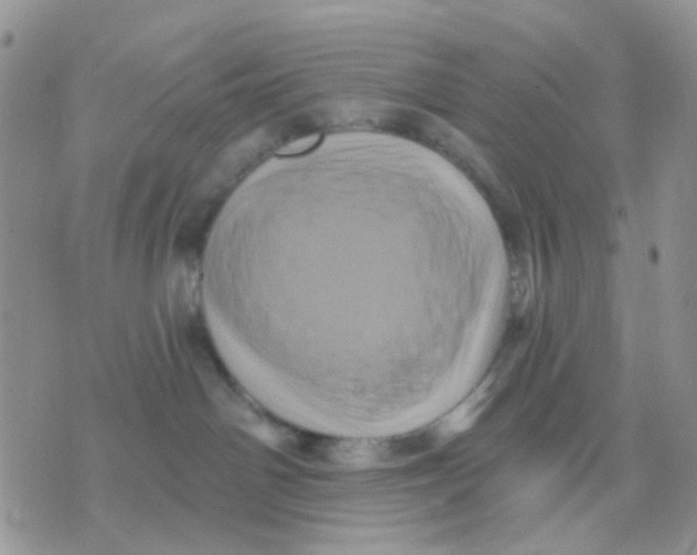 X0000071340142200607212041