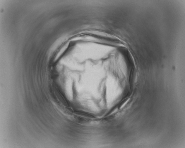 X0000071340149200607212041