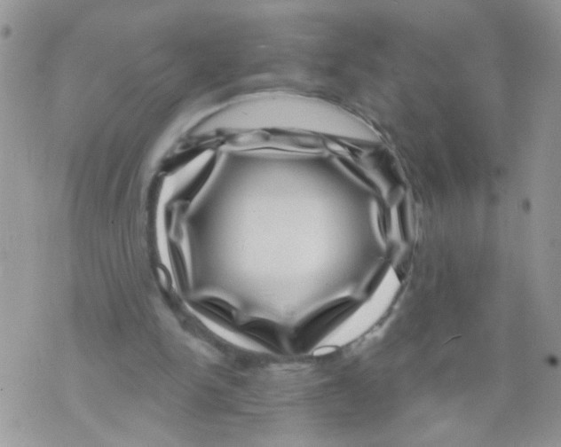 X0000071340150200607212041