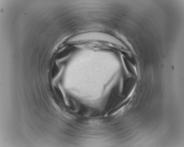 X0000071340154200607212041