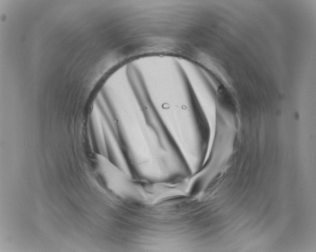 X0000071340156200607212041