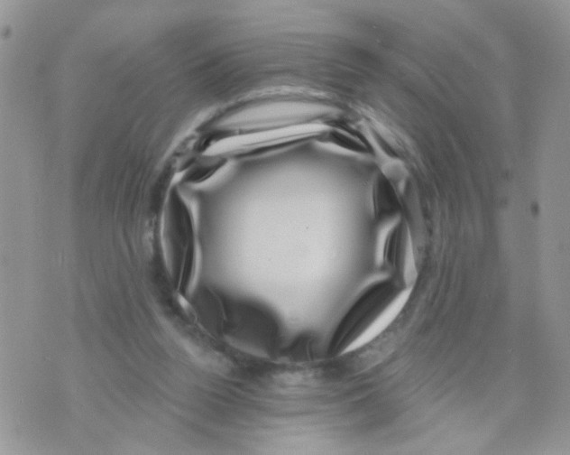 X0000071340160200607212041