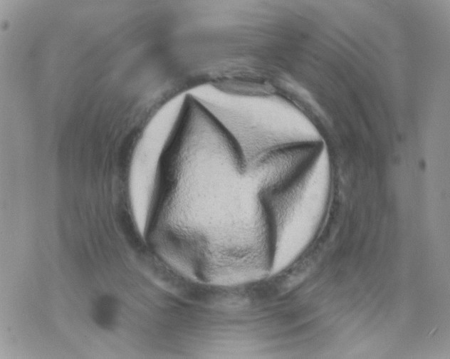 X0000071340161200607212041