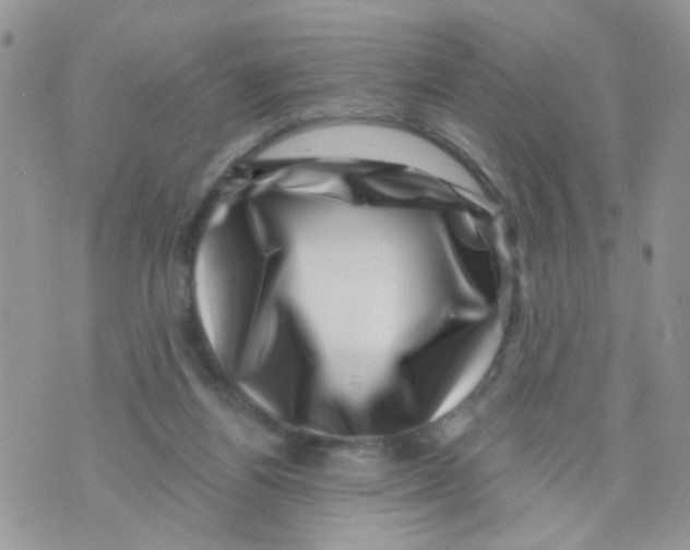 X0000071340164200607212041