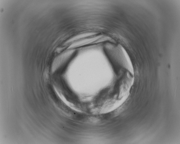 X0000071340166200607212041