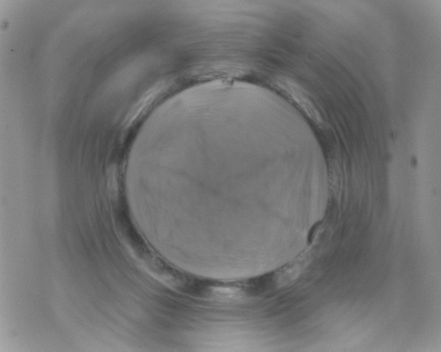 X0000071340167200607212041