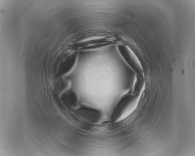 X0000071340170200607212041