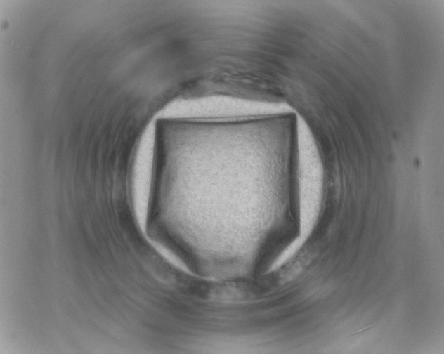 X0000071340177200607212041