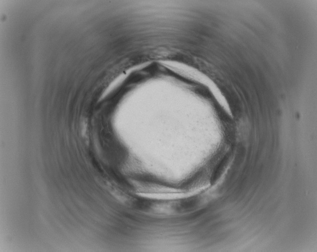 X0000071340178200607212041
