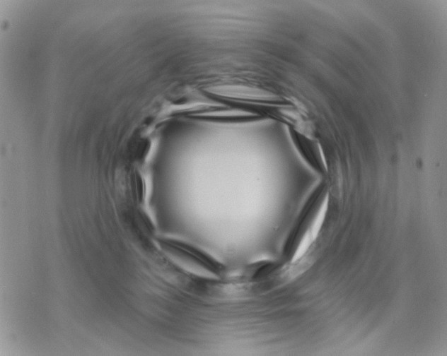 X0000071340184200607212041