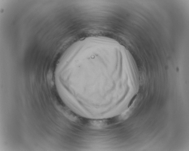 X0000071340187200607212041