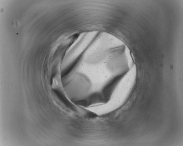 X0000071340193200607212041