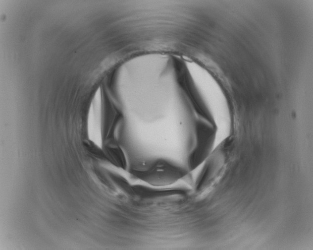 X0000071340201200607212040