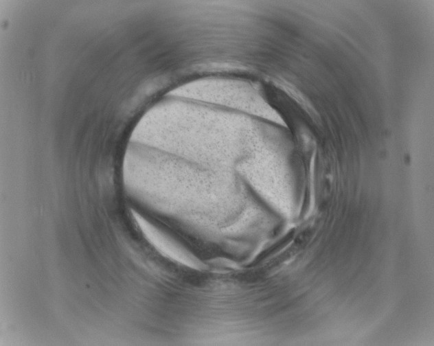 X0000071340207200607212040