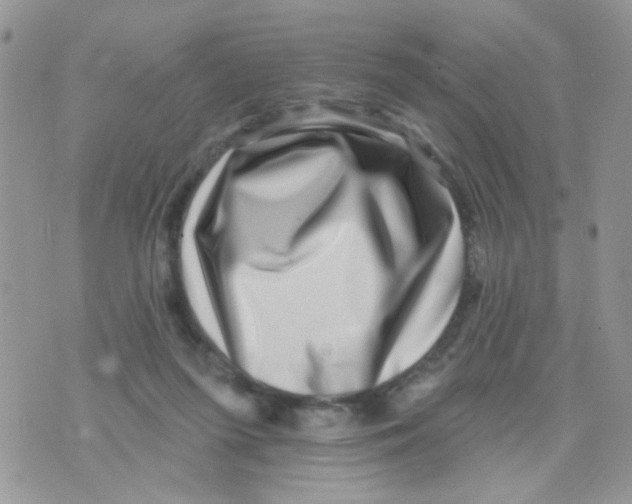 X0000071340215200607212040