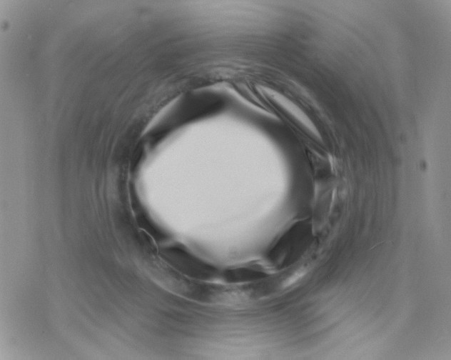 X0000071340217200607212040