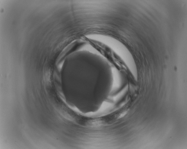 X0000071340219200607212040