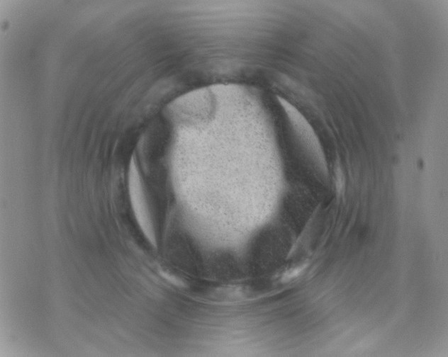 X0000071340225200607212040