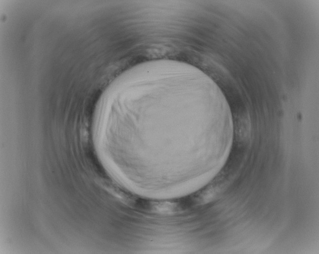 X0000071340226200607212040