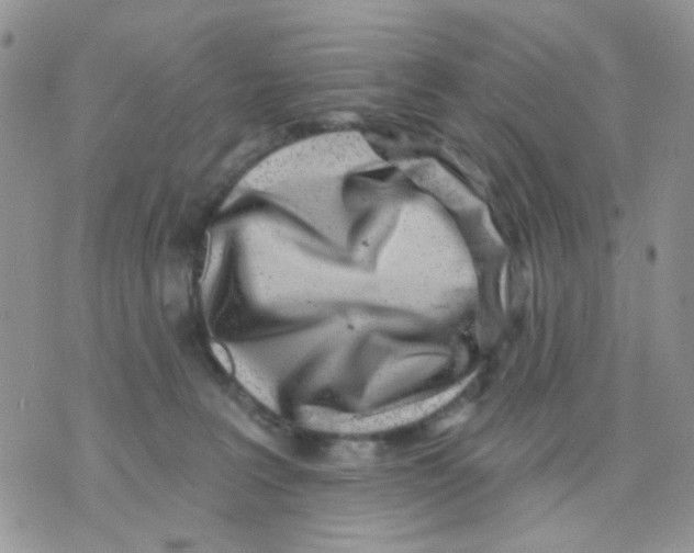X0000071340227200607212040