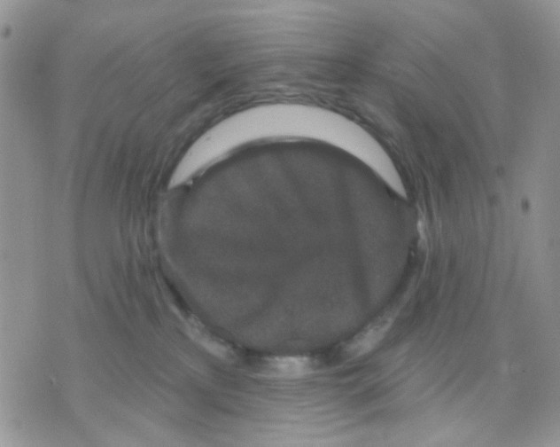 X0000071340233200607212040