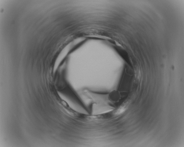 X0000071340239200607212040