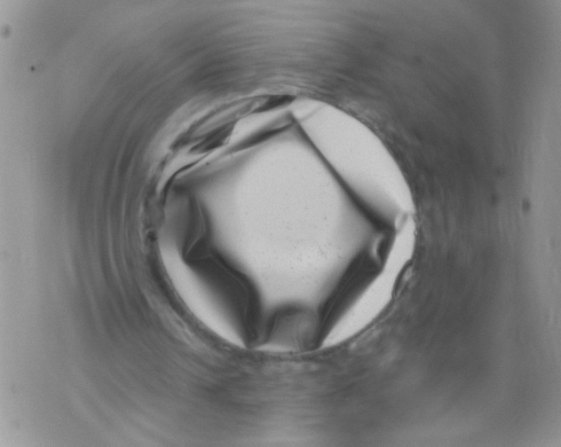 X0000071340242200607212039