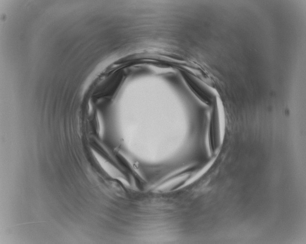 X0000071340244200607212039