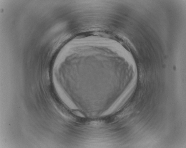 X0000071340251200607212039