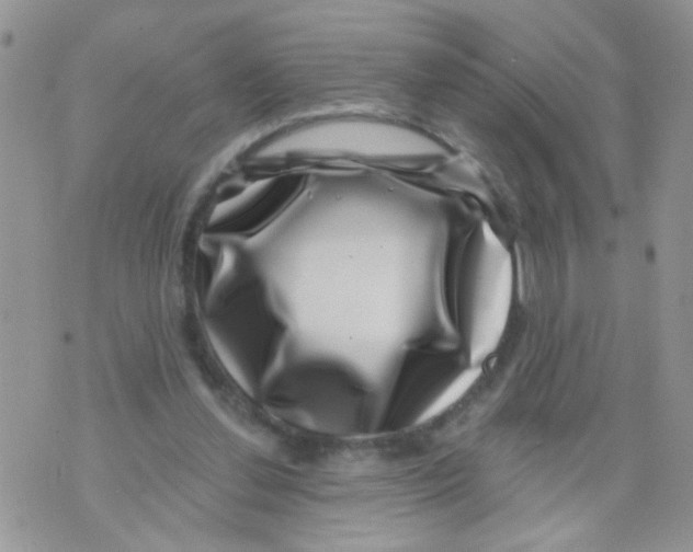 X0000071340252200607212039