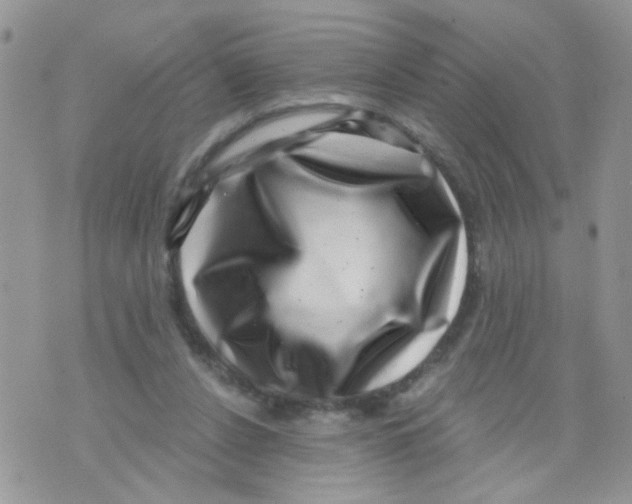 X0000071340256200607212039